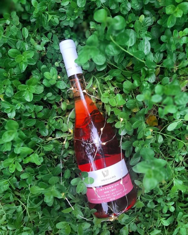 מועדון היין מועדון היין