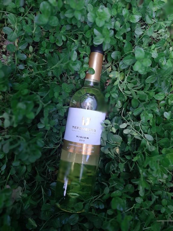 מועדון היין מועדון היין