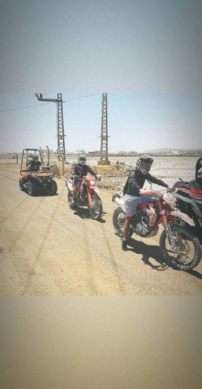 מוטורנט מוטורנט