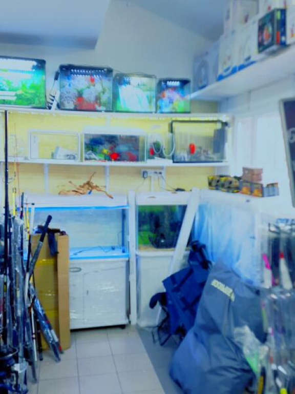 פארוט יהודה פארוט יהודה