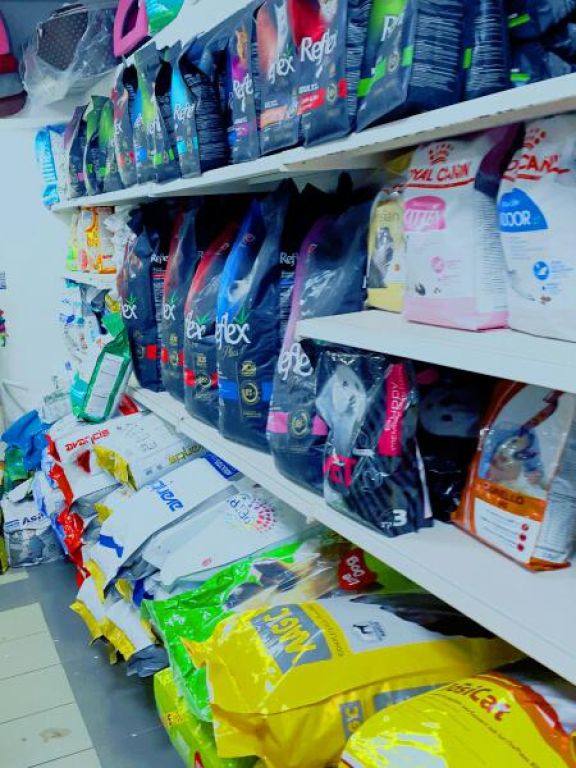 פארוט יהודה פארוט יהודה