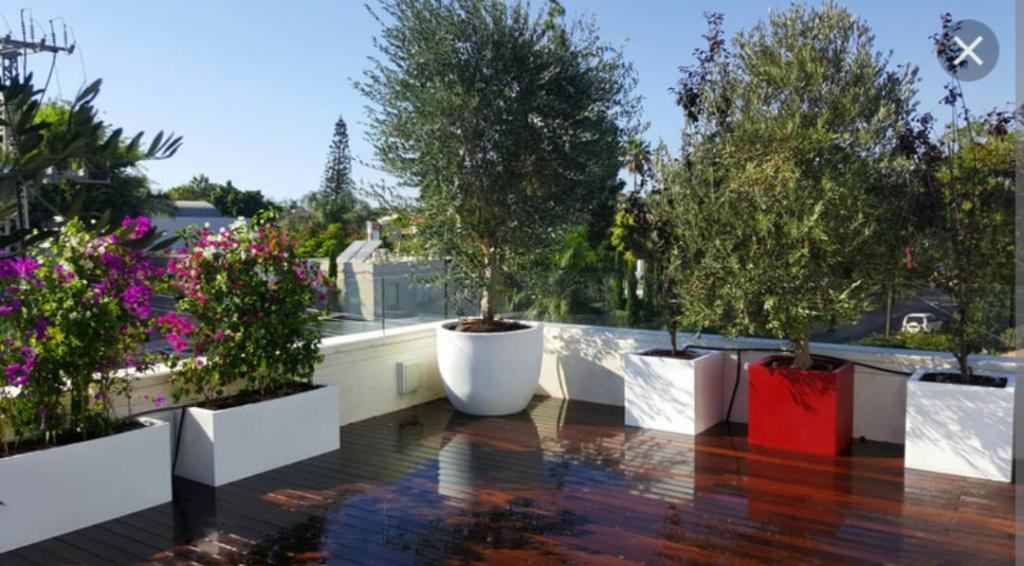 גן הסולטאן גן הסולטאן