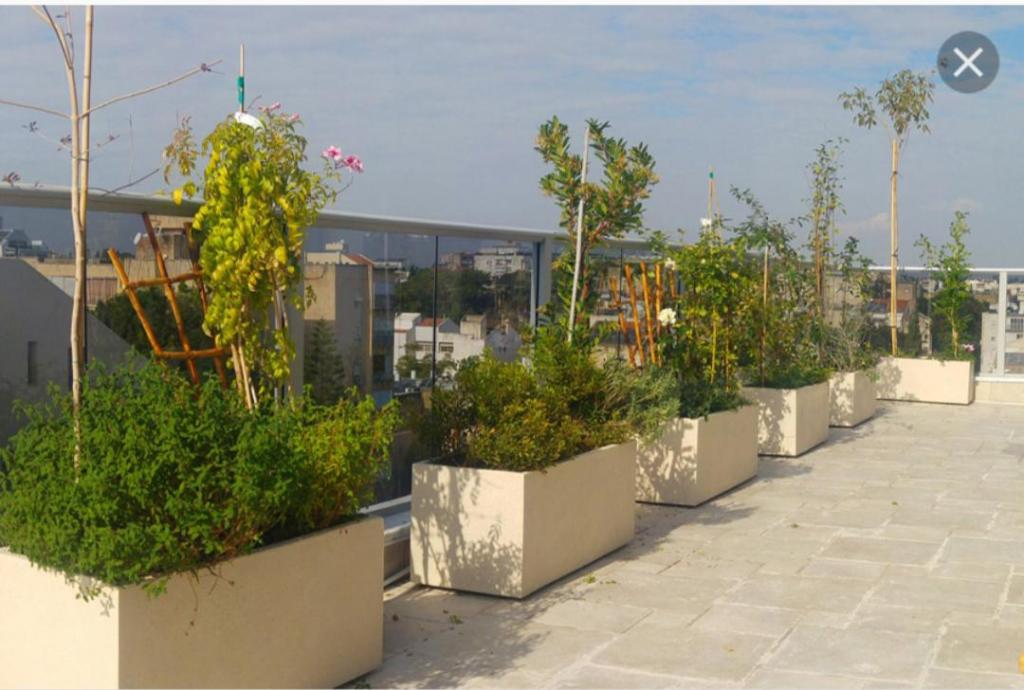 גן הסולטאן גן הסולטאן