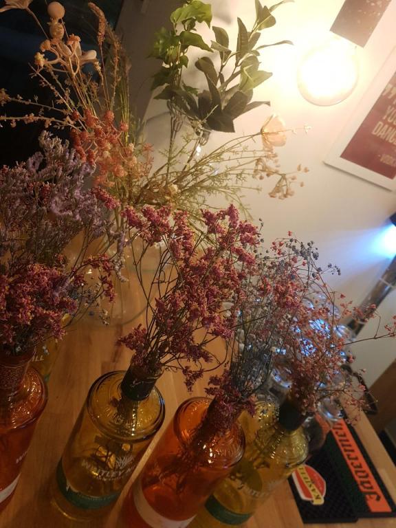 סאן רמו סאן רמו