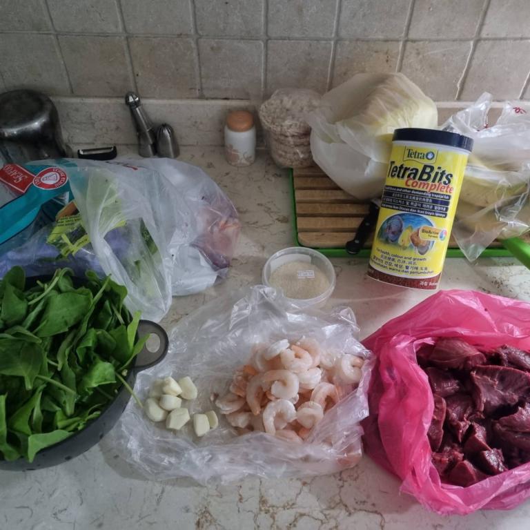 ערן וחיות אחרות ערן וחיות אחרות