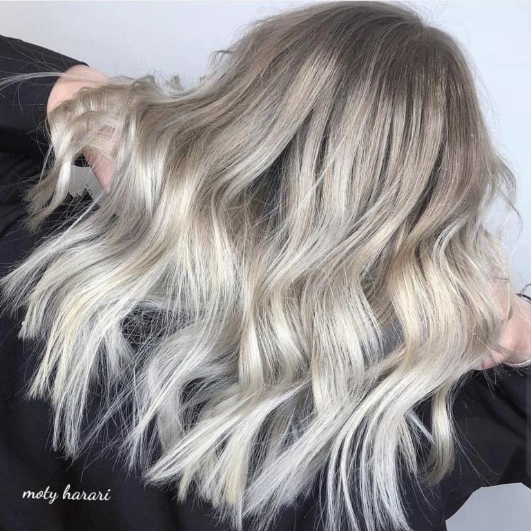 מוטי הררי מוטי הררי