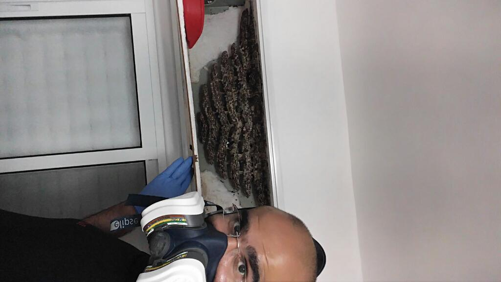 סופר אחזקות סופר אחזקות