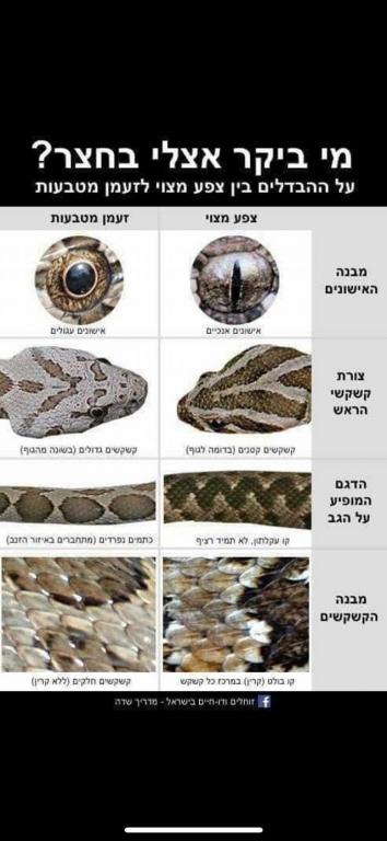 סופר אחזקות סופר אחזקות