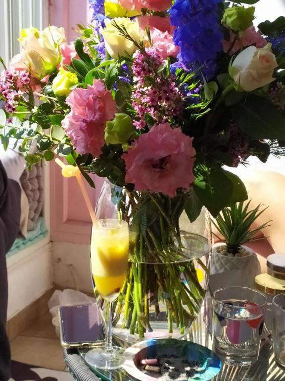 אמריליס חנות פרחים אמריליס חנות פרחים