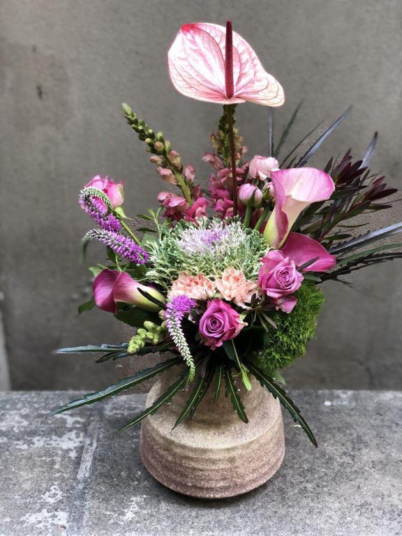 אמריליס חנות פרחים אמריליס חנות פרחים