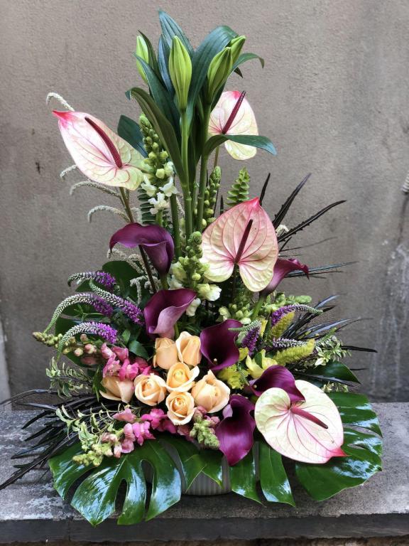 אמריליס חנות פרחים אמריליס חנות פרחים