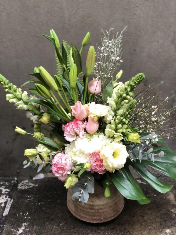 אמריליס חנות פרחים אמריליס חנות פרחים