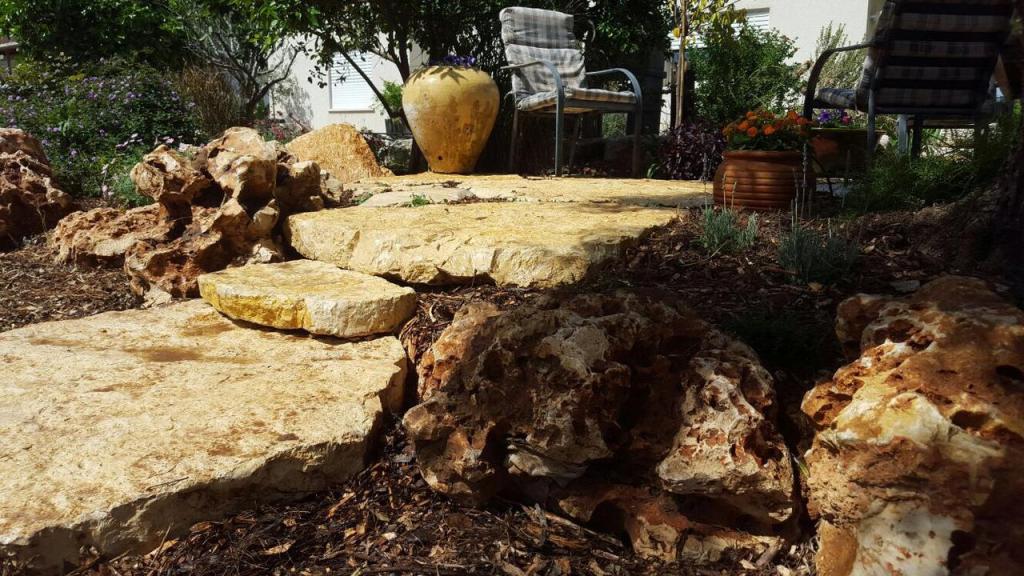 נאוה גינון ושיווק נאוה גינון ושיווק