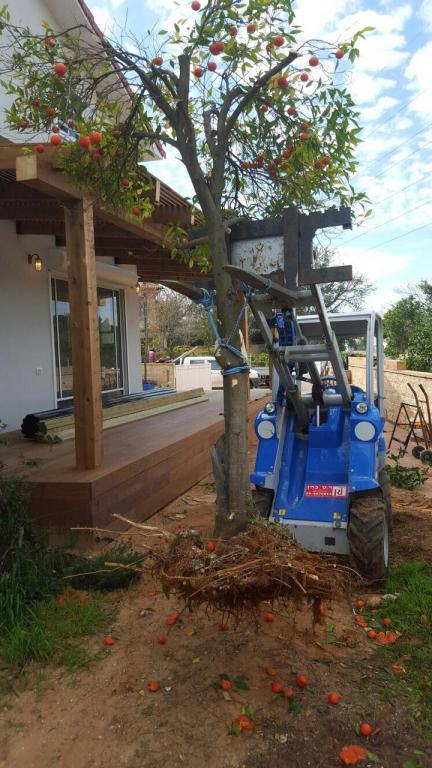 נאוה גינון ושיווק נאוה גינון ושיווק