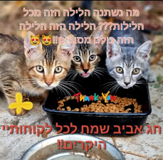 ד"ר שני גור