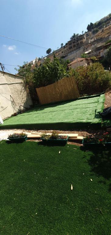 זוהר פתרונות יצירתיים זוהר פתרונות יצירתיים