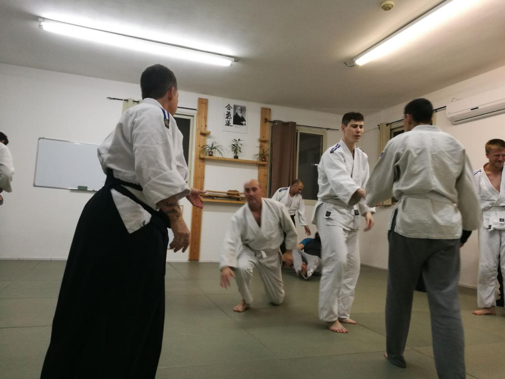 אייקידו בודו אייקידו בודו