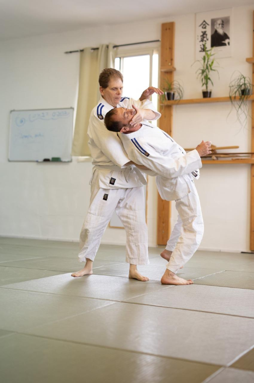 אייקידו בודו אייקידו בודו