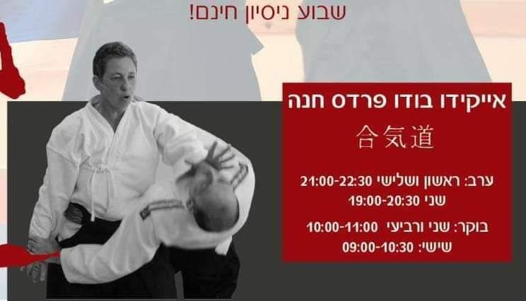 אייקידו בודו אייקידו בודו