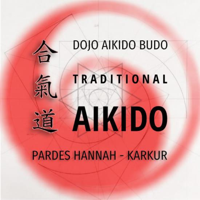 אייקידו בודו אייקידו בודו