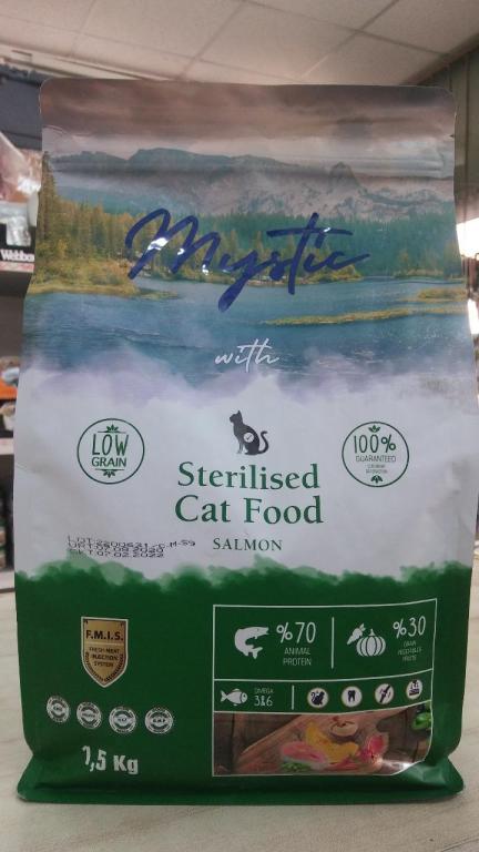 ציפורים בראש ציפורים בראש