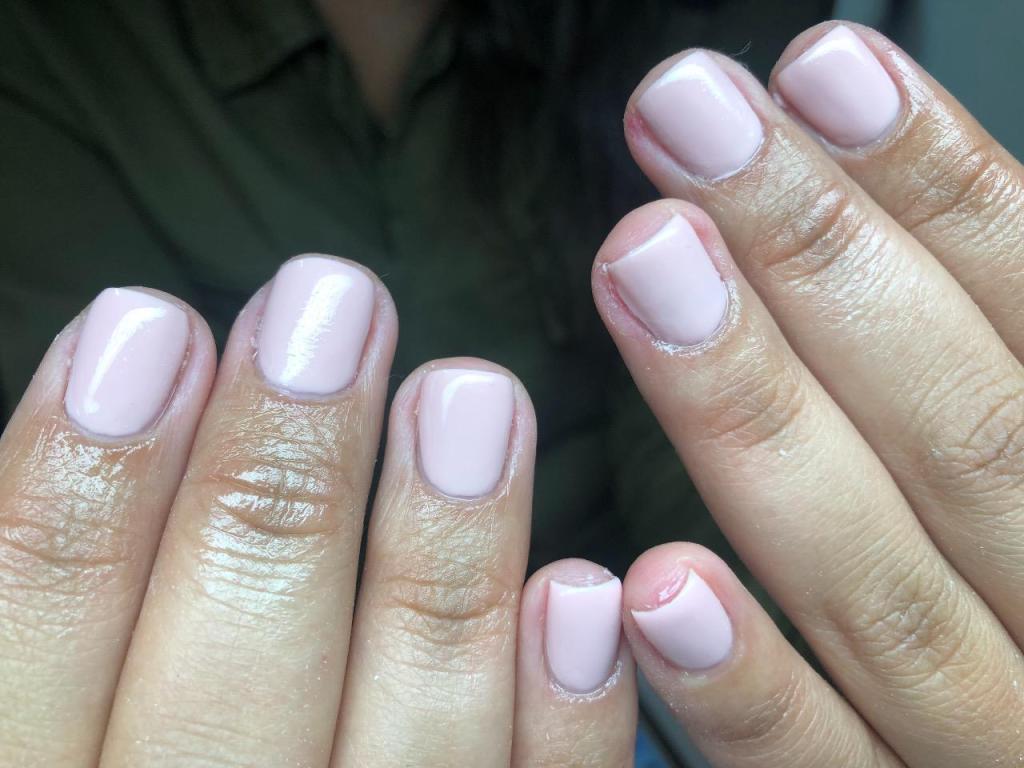 פולי פרידמן פולי פרידמן