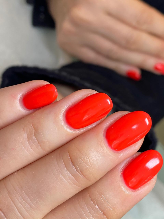 פולי פרידמן פולי פרידמן