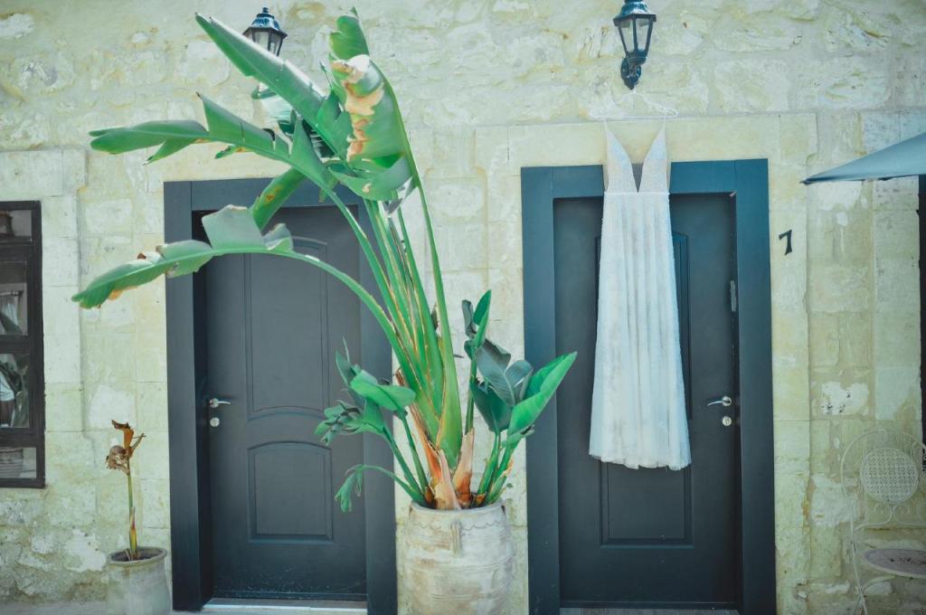 מלון בוטיק אחוזת אנילביץ מלון בוטיק אחוזת אנילביץ