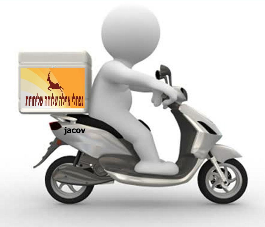 נפתלי איילה שלוחה נפתלי איילה שלוחה