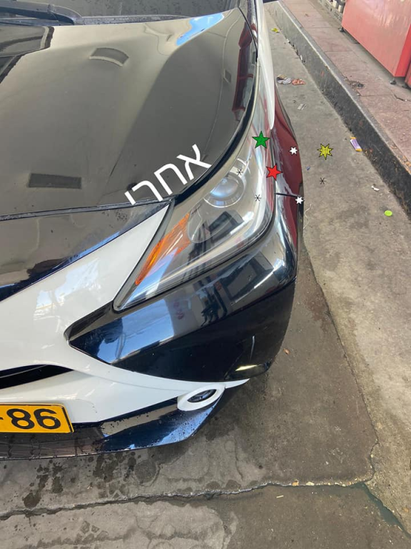 השטיפה הגדולה השטיפה הגדולה