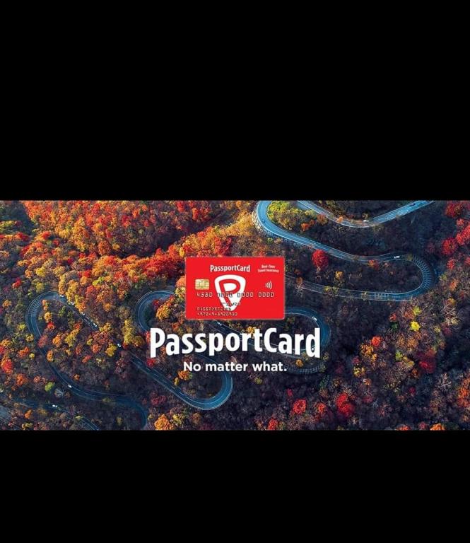 קשרים סוכנות לביטוח קשרים סוכנות לביטוח