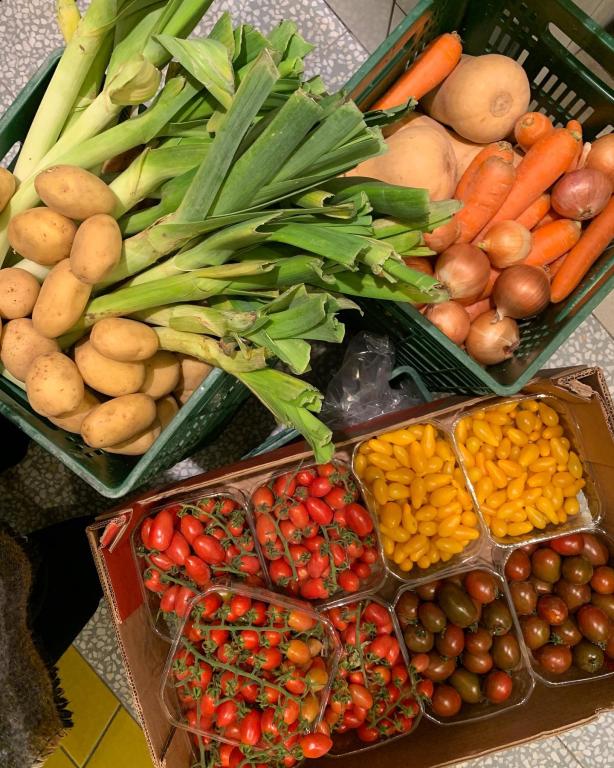 מאמא שושה מאמא שושה