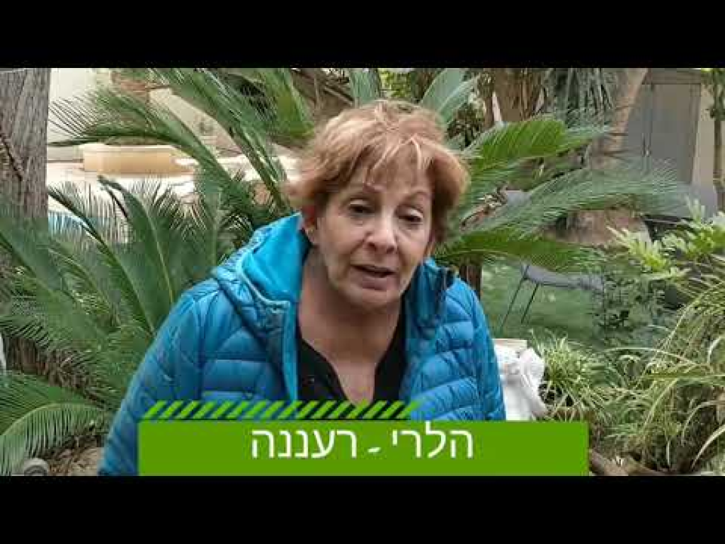 פאלם ביץ' גינון פאלם ביץ' גינון