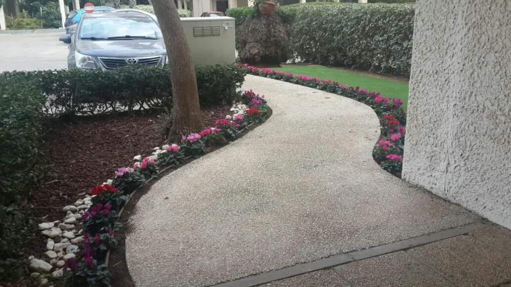 פאלם ביץ' גינון פאלם ביץ' גינון