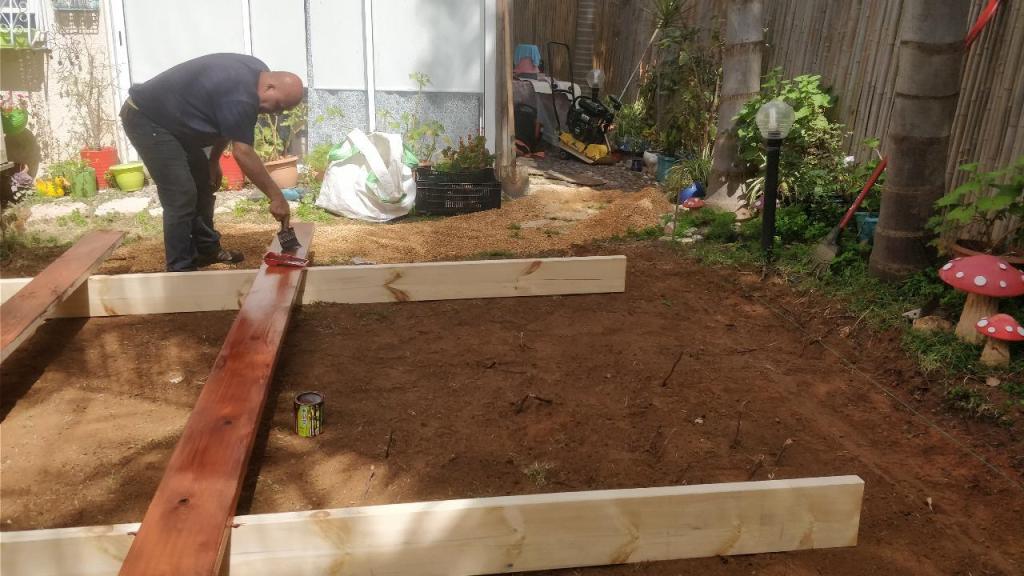 פאלם ביץ' גינון פאלם ביץ' גינון