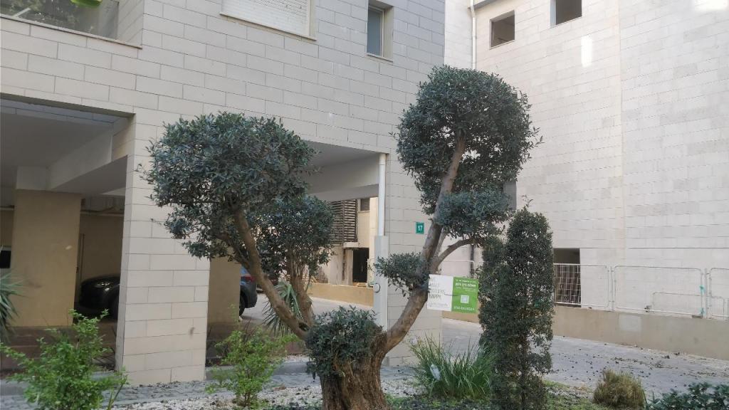 פאלם ביץ' גינון פאלם ביץ' גינון