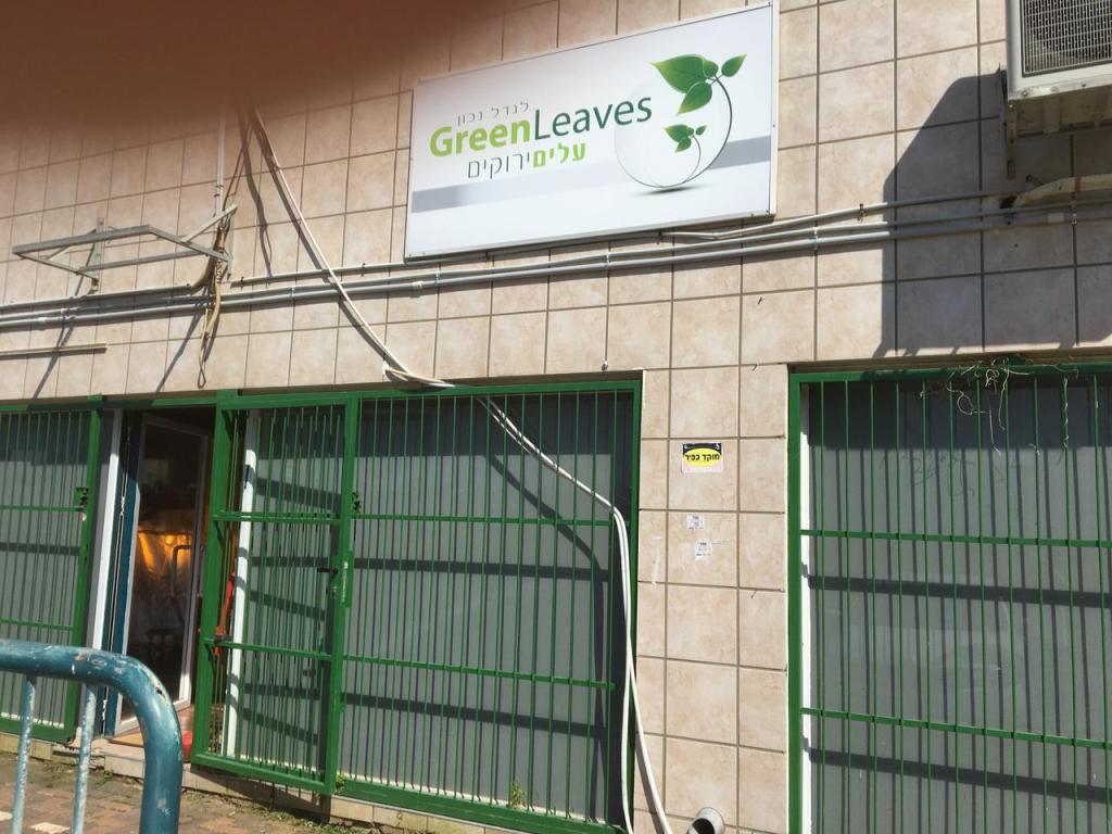 עלים ירוקים הידרופוניקס עלים ירוקים הידרופוניקס