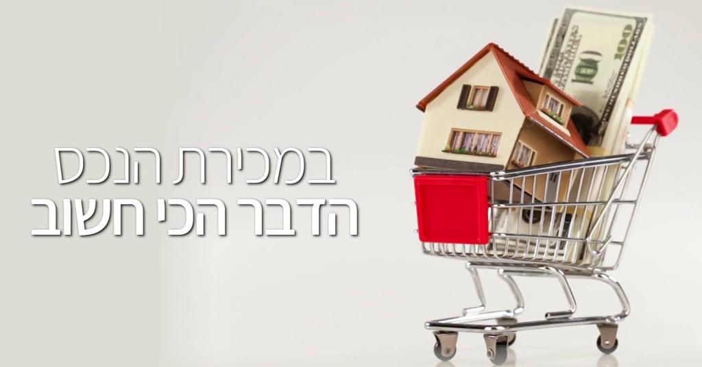 אריות הנדלן אריות הנדלן