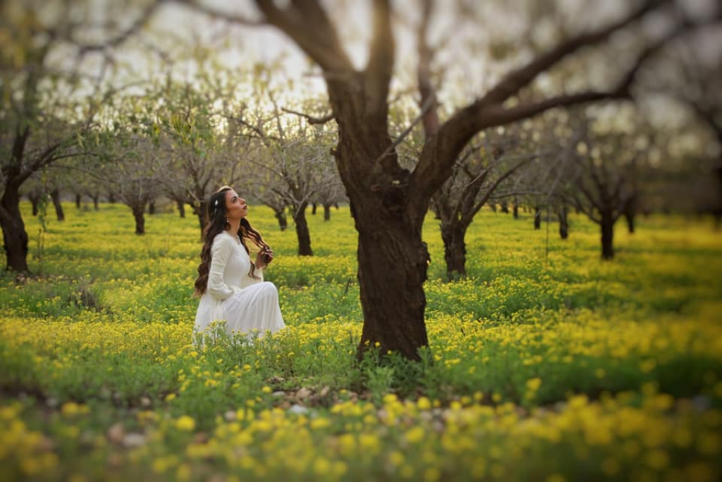 צילום אלעד זגמן צילום אלעד זגמן