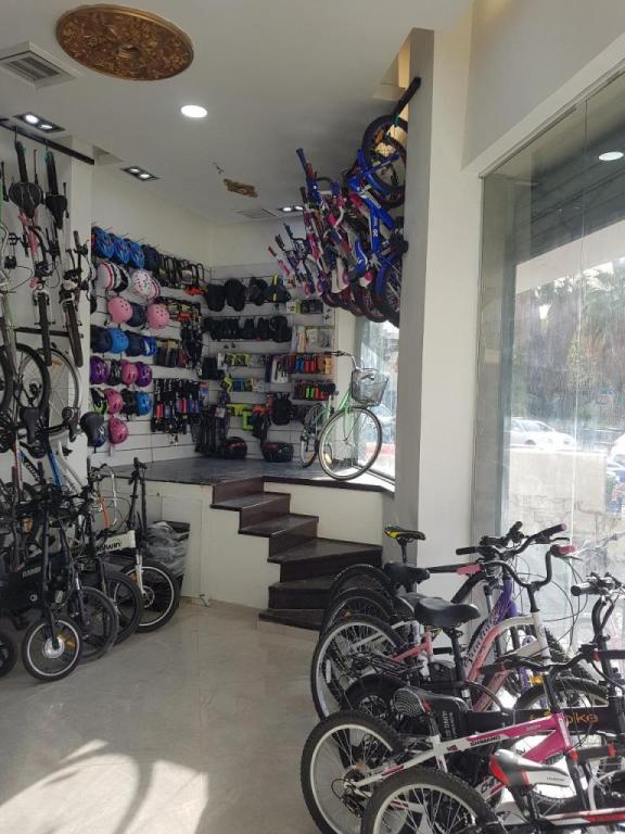 גלגלי TLV גלגלי TLV