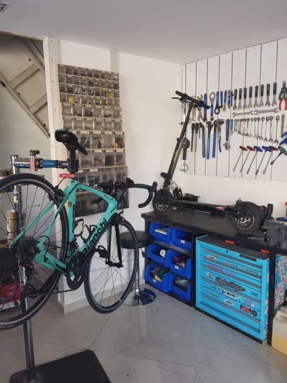 גלגלי TLV גלגלי TLV