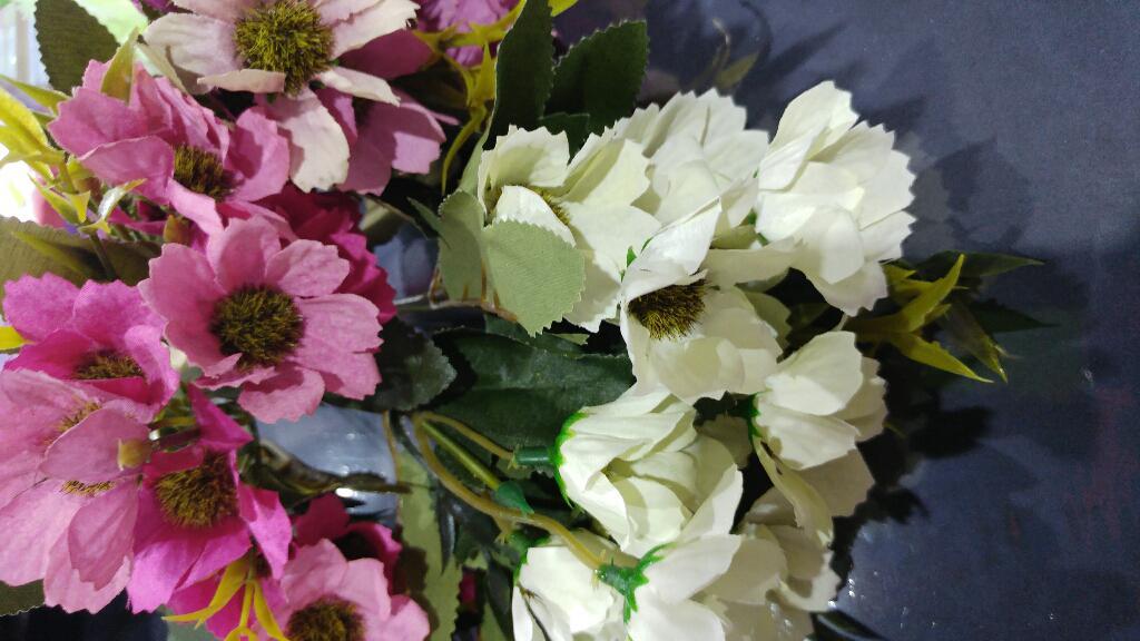 שאולי חוויה יצירתית לגן ולמשפחה שאולי חוויה יצירתית לגן ולמשפחה