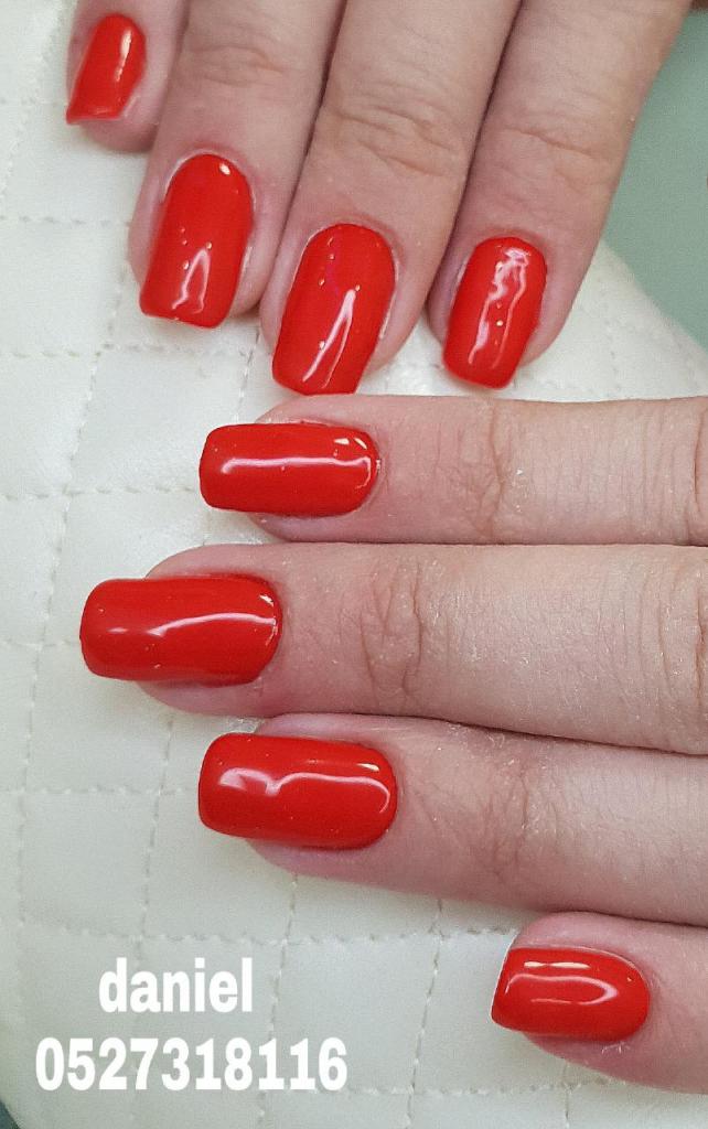 דניאל סטודיו דניאל סטודיו