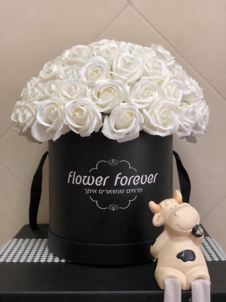 Flower Forever נצרת עילית Flower Forever נצרת עילית