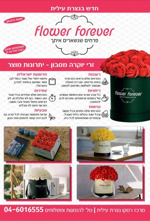 Flower Forever נצרת עילית Flower Forever נצרת עילית