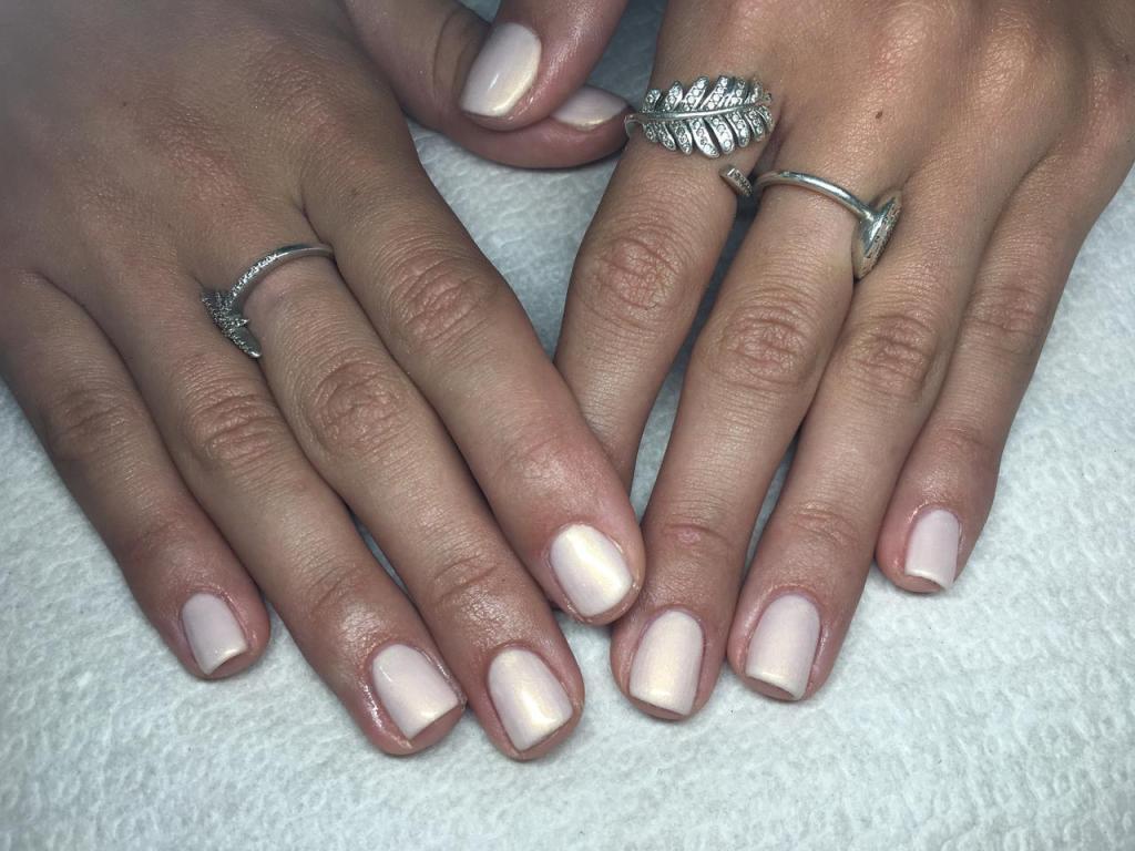 TAL'S Studio TAL'S Studio