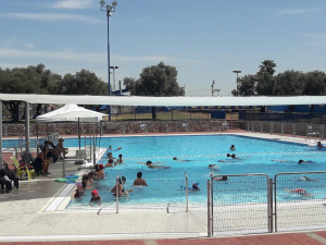 בריכת השחיה ניו ליג