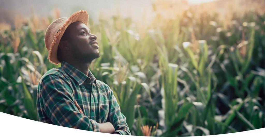 מכון אבחון והשמה תימה מכון אבחון והשמה תימה