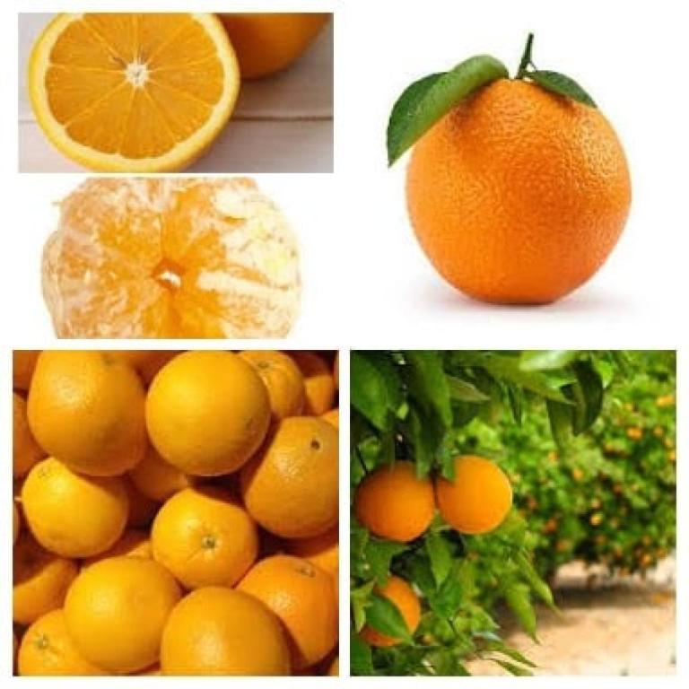 שוק רוממה שוק רוממה