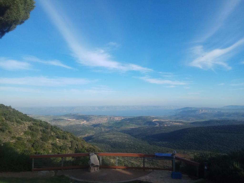 משתלה אמירים משתלה אמירים